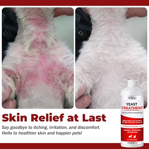 NutraLeonis Yeast Infection Treatment For Dogs Shampoo