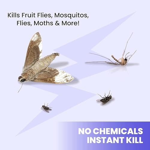 Insect Killer Electric Plug 2 Pieces