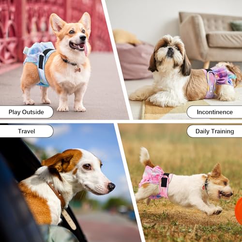 Pack Of 3 Female Dogs