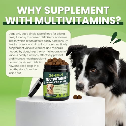 26-In-1 Multivitamin For Dogs 200 Chewable Tablets