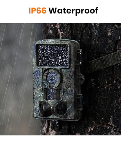 Wildlife Camera With Mobile Phone Transmission App