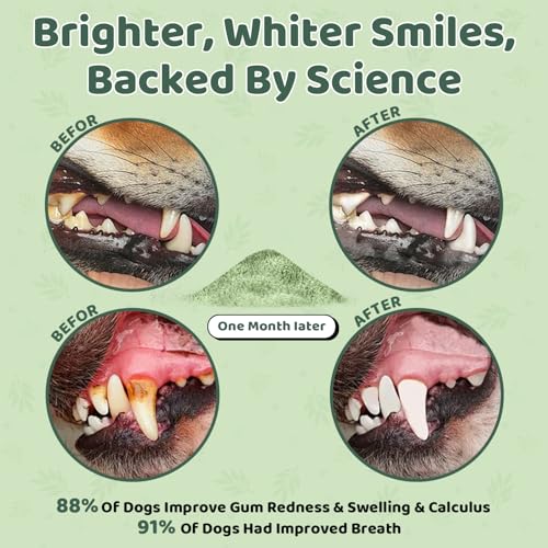 Dog Teeth Cleaning Powder