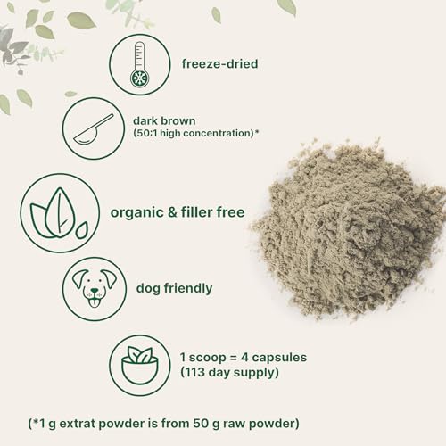 Turkey Tail Mushroom Powder For Dogs