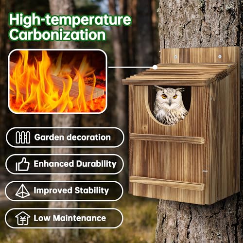 Owl House For Outdoors