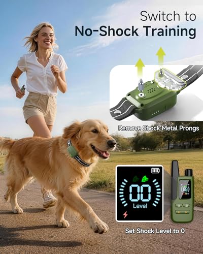 Dog Shock Collar