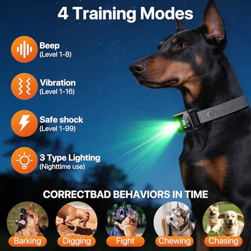 Wireless Dog Fence System For Dogs