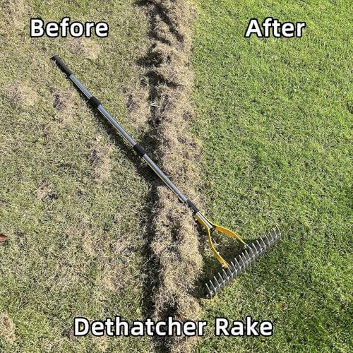 Thatch Rake For Lawn
